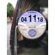 Contemporary Blue TAX DISC